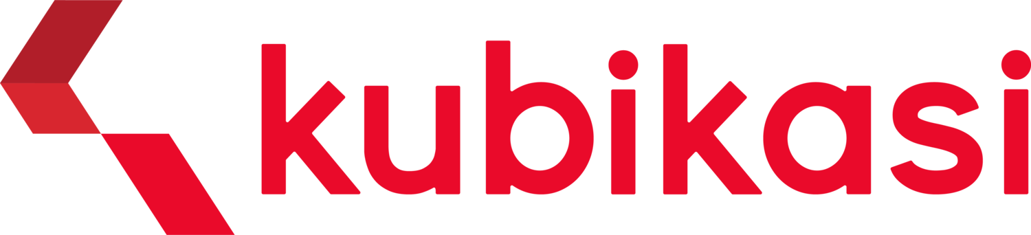 Logo Kubikasi